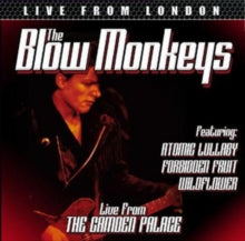 The Blow Monkeys: Live from London