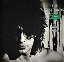 The Waterboys: A Pagan Place