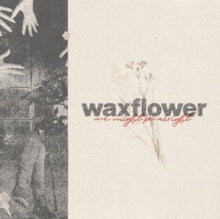 Waxflower: We Might Be Alright