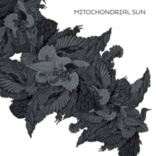 Mitochondrial Sun: Mitochondrial Sun